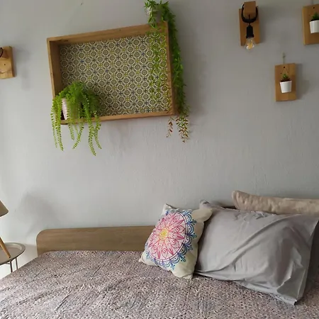 Sweet In شقة دراما